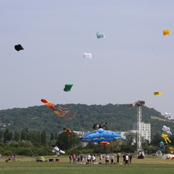 Cerfs-volants-Monofils