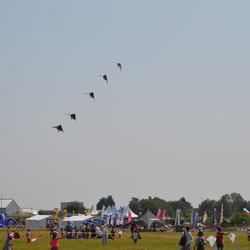 Cerfs-volants-Acrobatiques